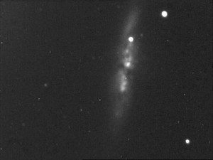 M82 with SN
